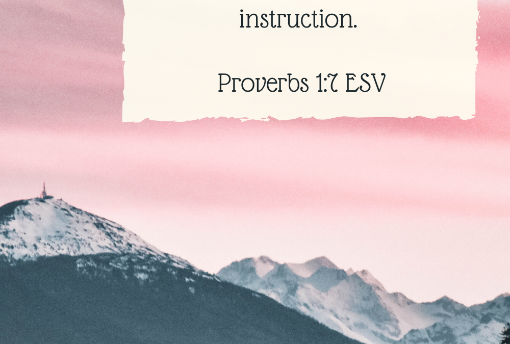 FIVE MINUTE FRIDAY-OLDER AND WISER?…