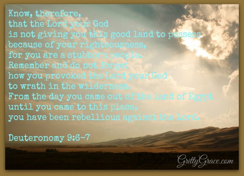 GOD IS A CONSUMING FIRE!…