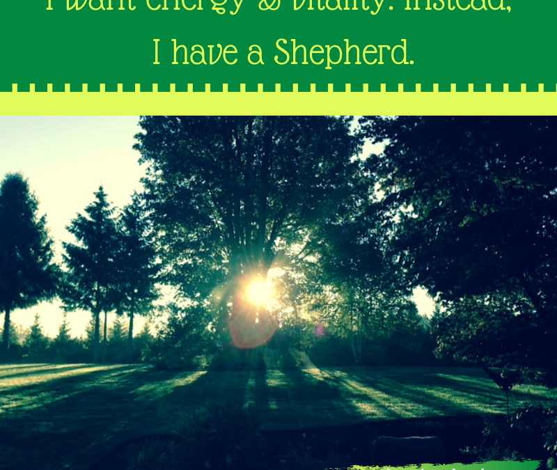 I WANT ENERGY & VITALITY. INSTEAD, I HAVE A SHEPHERD…