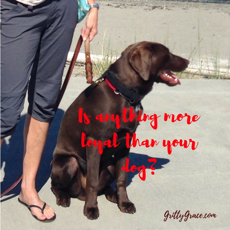 IS ANYTHING MORE LOYAL THAN YOUR DOG?…