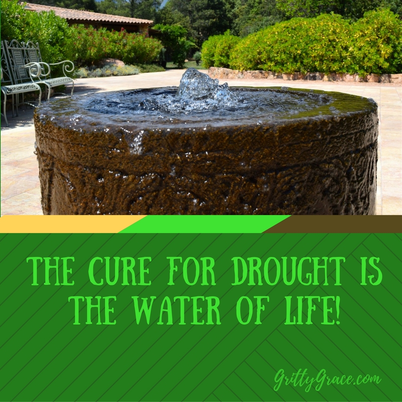 THE CURE FOR A DROUGHT IS THE WATER OF LIFE!…