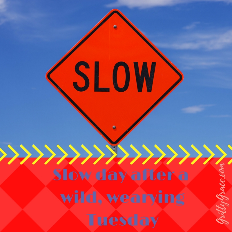 ENJOYING A SLOW DAY AFTER A WILD & WEARYING TUESDAY…