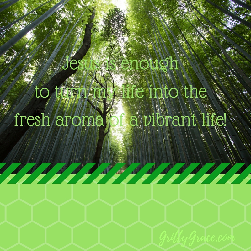 JESUS IS ENOUGH TO TURN MY LIFE INTO THE FRESH AROMA OF VIBRANT LIFE!…