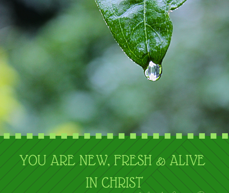 DO YOU ACCEPT THAT YOU ARE NEW, FRESH & ALIVE IN CHRIST?…
