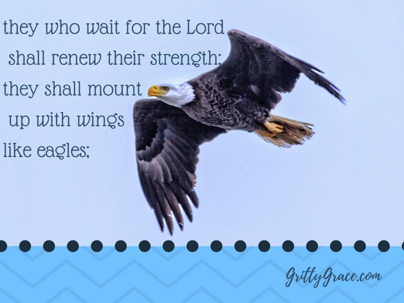 WHY IS THE TRAINING TO FLY AS A CHRISTIAN, SO DIFFICULT?…