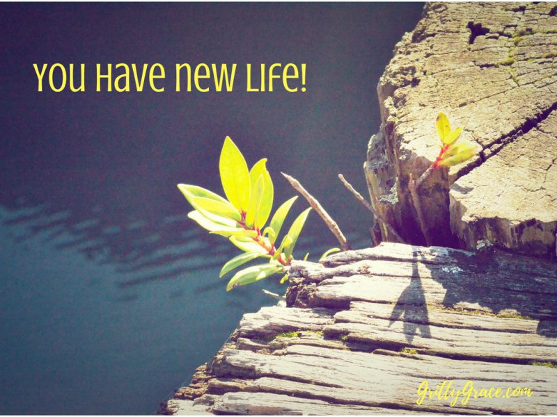 FROM THE ARCHIVES: YOU HAVE NEW LIFE!…