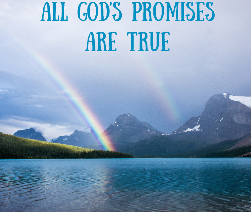 ALL GODS PROMISES ARE TRUE…