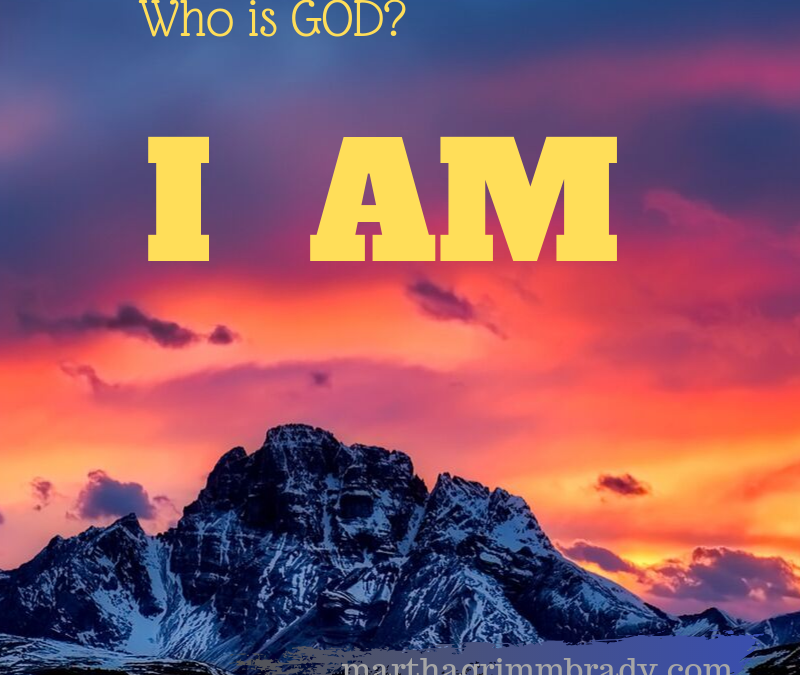 WHO IS GOD?: GOD IS SELF-EXISTENT…