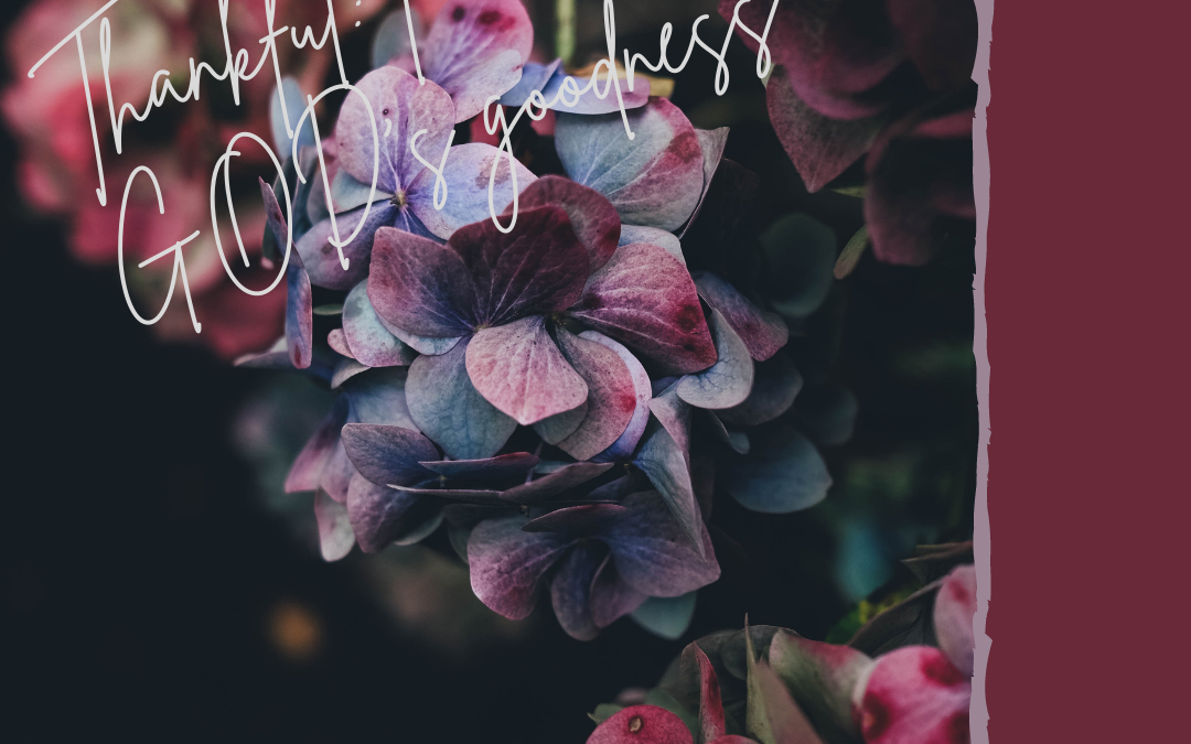 THANKFUL: FOR GOD’S GOODNESS…