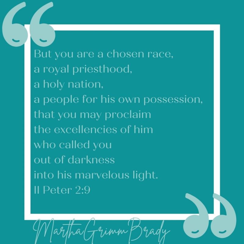 Do you ever feel worthless? If you are a child of God, He uses words like chosen royal, and holy to describe you. See what this promise has to say about his children. #chosen #holynation #belongtogod #liveinthelight