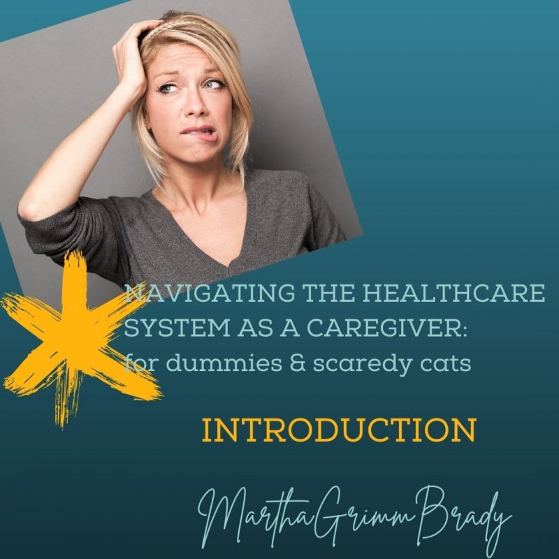 Are you a caregiver who is trying to navigate the healthcare system in some form? Do you feel like a dummy or a scaredy cat? Over the next few weeks, I hope to help you gain confidence when dealing with what can seem like a formidable system. #caregiver #navigatehealthcaresystem #dontdrownindetails #healthcaresystem