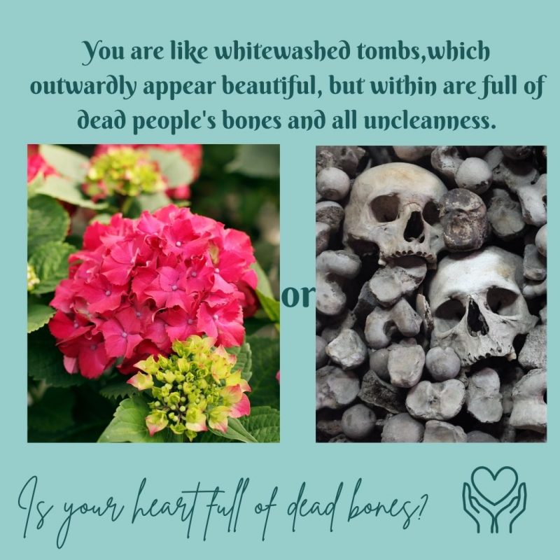 Are you beautiful on the outside with a heart full of dead bones? As a Christian, you have a new heart. You are alive inside. By the power of the Spirit, live up to who you are from the inside out. #aliveinChrist #deadbones #tenderheart