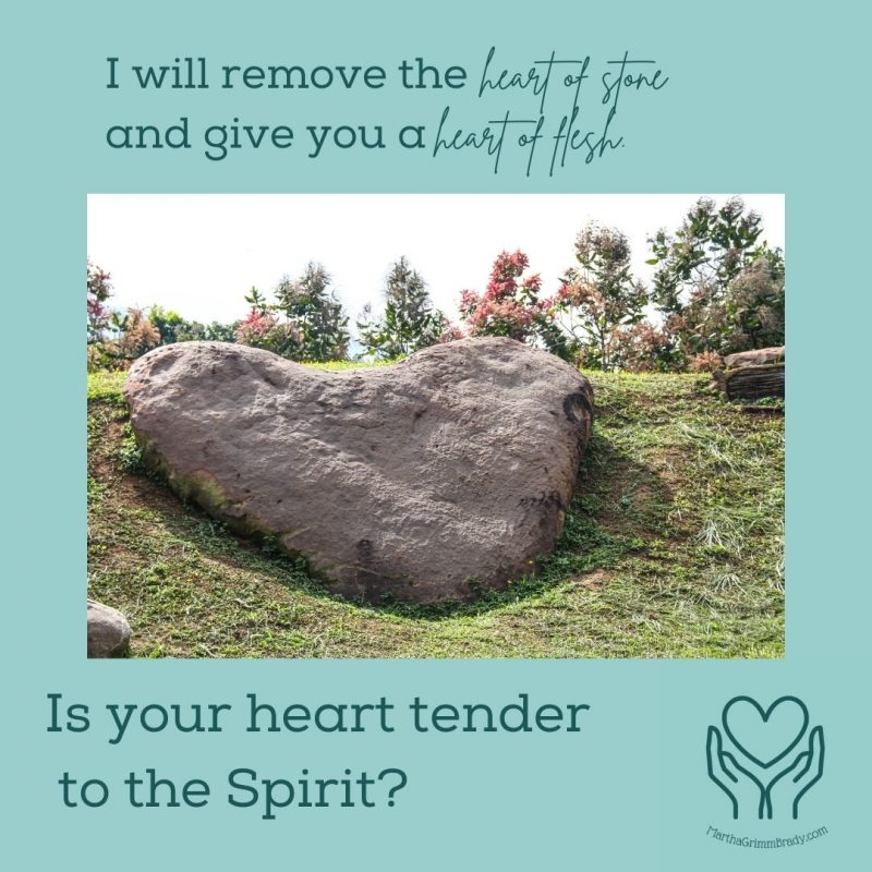 What kind of heart do you have? Is it rock hard or tender to the Spirit? As a child of God, you have a heart of flesh, but if you ignore God's warnings, you can harden your heart toward Him. Stay tender. #heartofstone #tenderhearts 