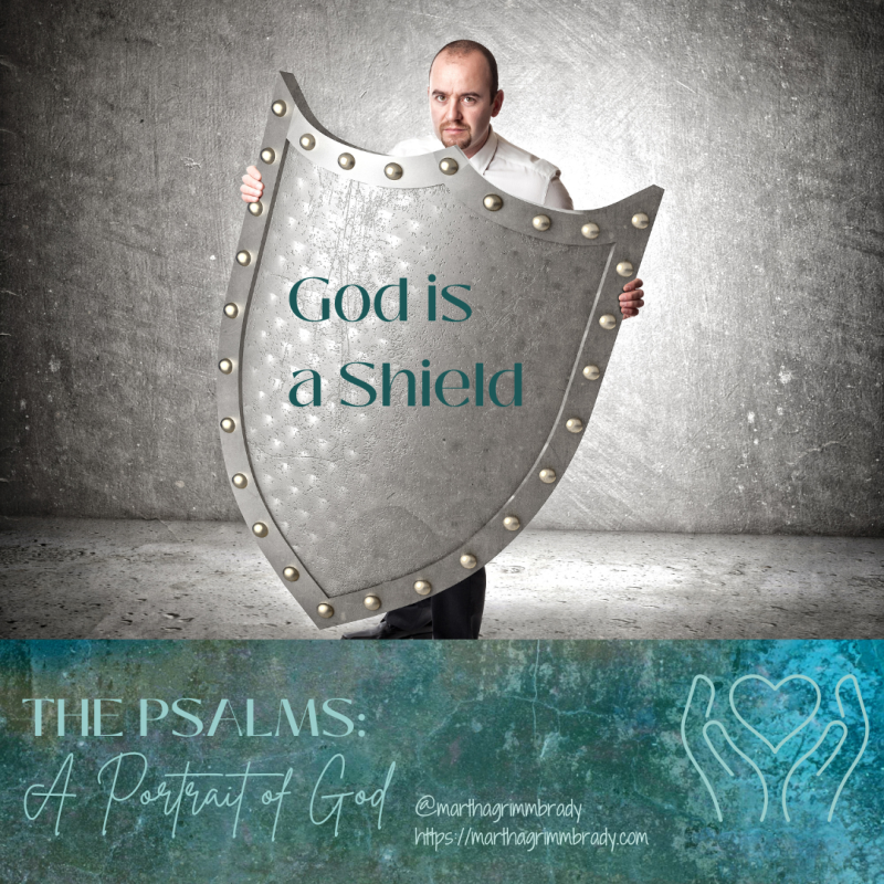 Photo of man holding large shield that covers most of his body with silver background.