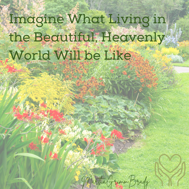 Photo of beautiful garden