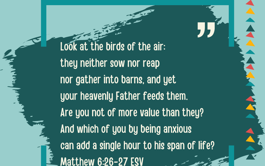 ANXIETY: AREN’T YOU MORE VALUABLE THAN THE BIRDS?…